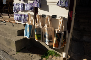 Lutte contre les nuisibles Arles
